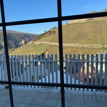 公寓 Haus Am Weinberg 吕德斯海姆